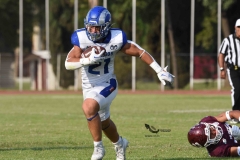 burros-blancos-borregos-puebla-2023-onefa-96