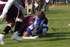 burros-blancos-borregos-puebla-2023-onefa-97