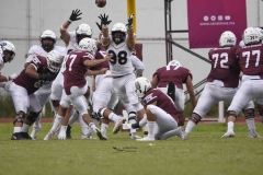 DSC6852