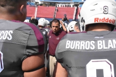 burros-blancos-pumas-cu-2021-11