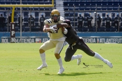 burros-blancos-pumas-cu-2021-33