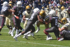 burros-blancos-pumas-cu-2021-51