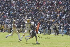 burros-blancos-pumas-cu-2021-55