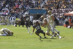 burros-blancos-pumas-cu-2021-56