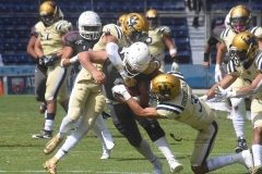 burros-blancos-pumas-cu-2021-63
