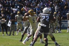 burros-blancos-pumas-cu-2021-66