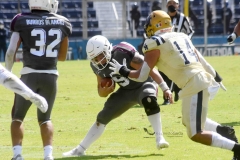 burros-blancos-pumas-cu-2021-83