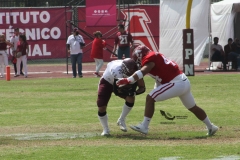 burros-blancos-aguilas-blancas-2022-onefa-10