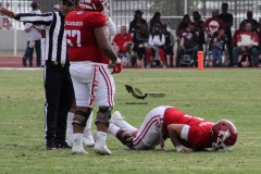 burros-blancos-aguilas-blancas-2022-onefa-101