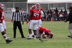 burros-blancos-aguilas-blancas-2022-onefa-102