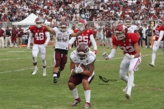 burros-blancos-aguilas-blancas-2022-onefa-110
