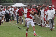 burros-blancos-aguilas-blancas-2022-onefa-113