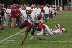 burros-blancos-aguilas-blancas-2022-onefa-122
