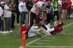 burros-blancos-aguilas-blancas-2022-onefa-124