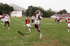 burros-blancos-aguilas-blancas-2022-onefa-126