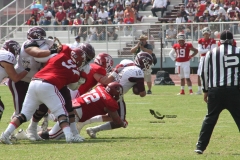 burros-blancos-aguilas-blancas-2022-onefa-13