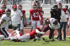 burros-blancos-aguilas-blancas-2022-onefa-14