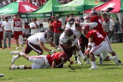 burros-blancos-aguilas-blancas-2022-onefa-15