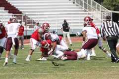 burros-blancos-aguilas-blancas-2022-onefa-2