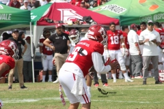 burros-blancos-aguilas-blancas-2022-onefa-22