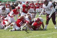 burros-blancos-aguilas-blancas-2022-onefa-27