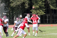 burros-blancos-aguilas-blancas-2022-onefa-28