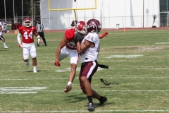 burros-blancos-aguilas-blancas-2022-onefa-29