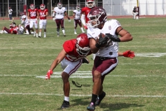 burros-blancos-aguilas-blancas-2022-onefa-30