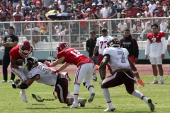 burros-blancos-aguilas-blancas-2022-onefa-38