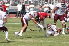 burros-blancos-aguilas-blancas-2022-onefa-4
