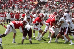 burros-blancos-aguilas-blancas-2022-onefa-41