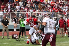 burros-blancos-aguilas-blancas-2022-onefa-6
