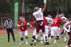 burros-blancos-aguilas-blancas-2022-onefa-68