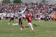burros-blancos-aguilas-blancas-2022-onefa-70