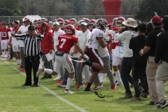 burros-blancos-aguilas-blancas-2022-onefa-77