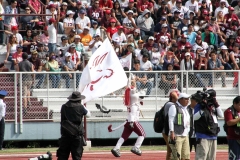 burros-blancos-aguilas-blancas-2022-onefa-83