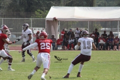 burros-blancos-aguilas-blancas-2022-onefa-85