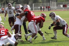 burros-blancos-aguilas-blancas-2022-onefa-87