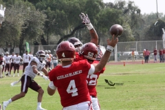 burros-blancos-aguilas-blancas-2022-onefa-88