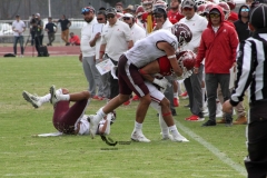 burros-blancos-aguilas-blancas-2022-onefa-91