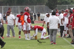 burros-blancos-aguilas-blancas-2022-onefa-93