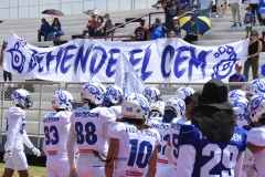 burros-blancos-borregos-cem-onefa-2022-11