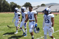 burros-blancos-borregos-cem-onefa-2022-13