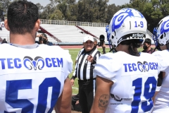 burros-blancos-borregos-cem-onefa-2022-14