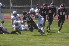 burros-blancos-borregos-cem-onefa-2022-17