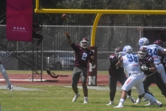 burros-blancos-borregos-cem-onefa-2022-18