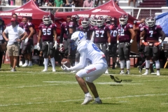 burros-blancos-borregos-cem-onefa-2022-19