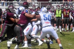 burros-blancos-borregos-cem-onefa-2022-22