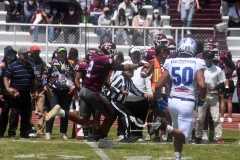 burros-blancos-borregos-cem-onefa-2022-24