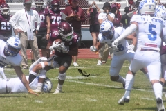 burros-blancos-borregos-cem-onefa-2022-25